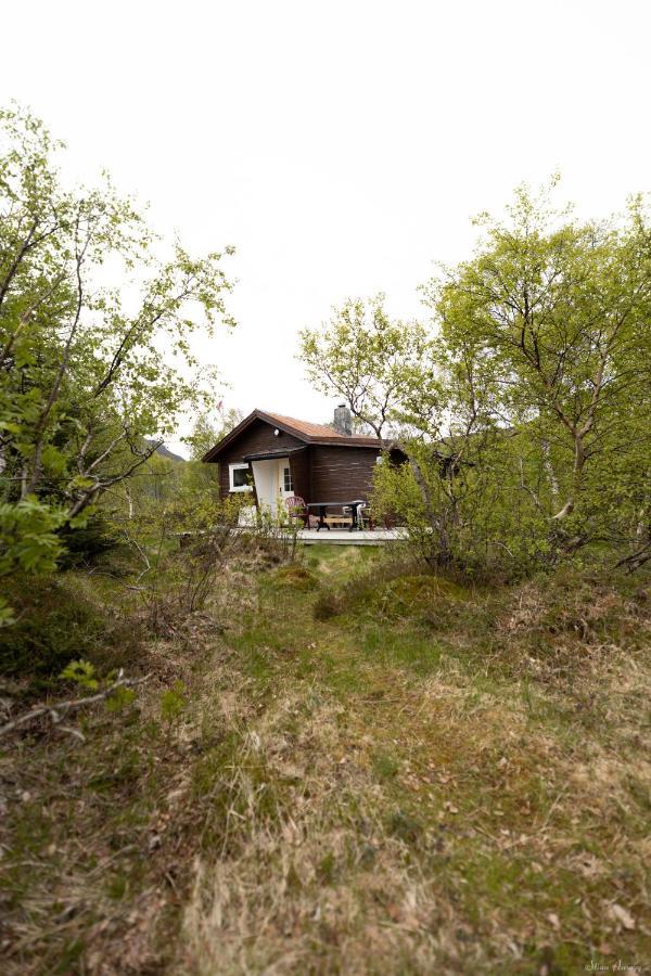 Haugteig Villa Lyngvaeret Exterior photo
